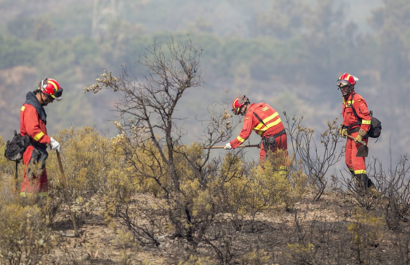 Estabilizado el incendio forestal de Nerva, que ha quemado 1.000 hectáreas